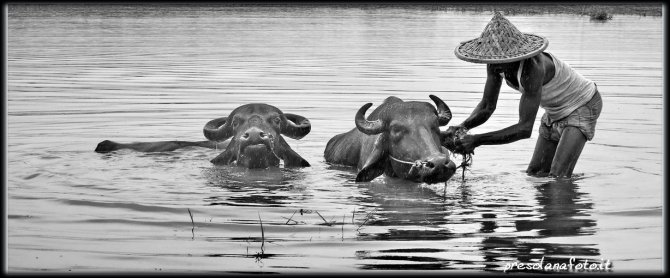 BANGLADESH - Acqua e Riso - Proiez. foto di Oliviero Masseroli. Milano 29 maggio -  ARGONAUTI  EXPLORERS