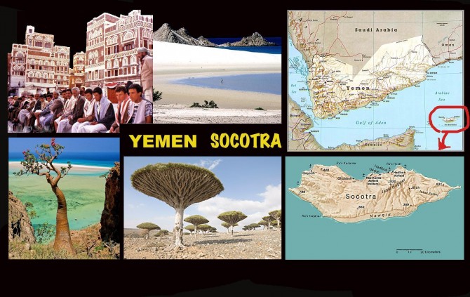 Isola di SOCOTRA (YEMEN) Proiezione a Milano martedì 15 aprile -  ARGONAUTI  EXPLORERS